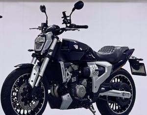 Jianshe Night <span class=keywords><strong>Hawk</strong></span> 500 Motocicleta-500cc Twin-Cylinder Retro Cruiser para viajes de larga distancia - Product Image 1