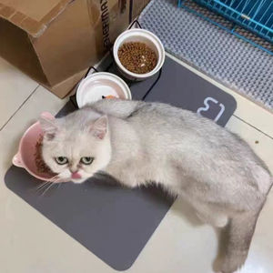 เสื่อยางรองให้อาหารสัตว์เลี้ยงทรงสี่เหลี่ยมกันน้ำได้สำหรับสุนัขและแมวเสื่อรองชามน้ำกันลื่นแห้งเร็วพิมพ์ลายสำหรับทุกฤดูกาล - Product Image 4