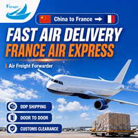 Agente de Transporte Aéreo de China a Francia, DDP Puerta a Puerta, Transitario, Envío Aéreo Exprés, Servicio de Despacho de Aduanas
