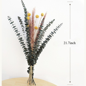 Hierba de Pampas Seca Natural, Ramo Mixto con Eucalipto y Craspedia Preservados, para Decoración Boho del Hogar, Arreglos Florales DIY - Product Image 5
