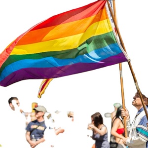 En Stock, Envío Rápido, Bandera del Orgullo Gay LGBT de 3x5 pies, Diseño Arcoíris, Todo Incluido - Product Image 6