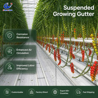 Gouttière de culture de tomates en acier pré-enduit avec système de drainage rotatif OEM/ODM pour serre
