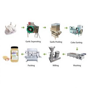 Máquina para Hacer Salsa de Ajo con Motor, Capacidad de 300KG/H para Fábrica de Alimentos y Bebidas, Máquina para Triturar Ajo y Hacer Pasta de Ajo y Jengibre - Product Image 1