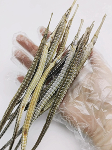Hai dài bán buôn Chất lượng cao khô rồng biển cá khô pipefish - Product Image 3