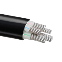 Kabel Listrik Udara JKV Aerial XLPE Berisolasi Konduktor Aluminium IP44 6kV Jaringan Distribusi Pedesaan dan Perkotaan