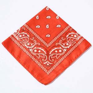 Bandana à motifs, foulard bandana western pour les cheveux, bandana tendance pour femmes, convient aux tenues urbaines et aux tenues d'inspiration campagnarde - Product Image 3