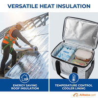 Film PET métallisé hautement réfléchissant, film Mylar aluminisé enduit d'aluminium sous vide pour l'isolation thermique des toits, des murs et des bâtiments