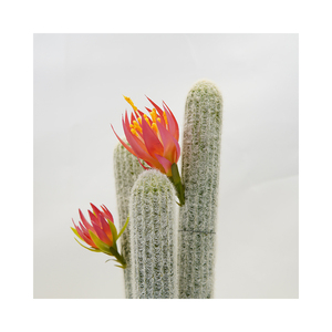Mini Real Touch <span class=keywords><strong>piante</strong></span> <span class=keywords><strong>grasse</strong></span> verdi in vaso <span class=keywords><strong>con</strong></span> fiore per la decorazione della scrivania pianta di <span class=keywords><strong>Cactus</strong></span> artificiale - Product Image 2