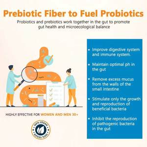 Cápsulas Probióticas y Prebióticas de Marca Privada con 60 Mil Millones de UFC, 19 Cepas, Apoyo a la Salud Digestiva, Refuerzo del Sistema Inmunitario, 100% Natural para Adultos - Product Image 5