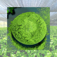 Bubuk Matcha Organik Grosir 30g Kelas Seremonial 6A Matcha Jepang Mewah Bubuk Matcha untuk Festival