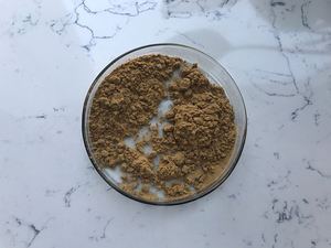 Fabriek Prijs 100:1 <span class=keywords><strong>Tongkat</strong></span> <span class=keywords><strong>Ali</strong></span> <span class=keywords><strong>Extract</strong></span> Poeder <span class=keywords><strong>Eurycoma</strong></span> Longifolia <span class=keywords><strong>Extract</strong></span> - Product Image 4