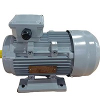 Moteur asynchrone triphasé à induction à haut rendement série IE2, boîtier en aluminium, fil de cuivre, YE2-112M-2, 0,75 kW, 1 CV