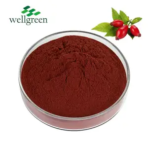 Free Sample High Quality Pure Food Additive Rose Hip Vitamin C Supply Rosehip Extract Powder