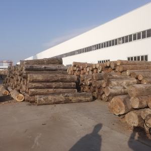 Compensato Premium <span class=keywords><strong>di</strong></span> betulla baltica 3 <span class=keywords><strong>Mm</strong></span> <span class=keywords><strong>1</strong></span> 8 "x 12" x 18 "<span class=keywords><strong>legno</strong></span> sottile 6 <span class=keywords><strong>fogli</strong></span> piatti con impiallacciatura <span class=keywords><strong>di</strong></span> grado BBBB per arti e mestieri fai da te in <span class=keywords><strong>legno</strong></span> - Product Image 2