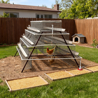 Fournitures pour élevages avicoles Cage à poules galvanisée |   Cage à poules à batterie à 3 niveaux avec 4 portes pour 96 poules pondeuses