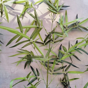 Offerta Speciale: Alberi di Bambù Artificiali Ecologici Anti-UV, Decorazione per Interni ed Esterni, Aspetto Naturale per Pareti e Pavimenti - Product Image 4