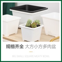 Bon marché carré 5.5cm 6cm 7cm 9cm 10cm meilleur petit pot de graine de fleur carré noir pour plantes succulentes pot de pépinière en plastique