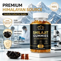 Gummies de Shilajit pour la santé cognitive, la concentration, la clarté mentale, la mémoire, le soutien immunitaire et l'équilibre hormonal