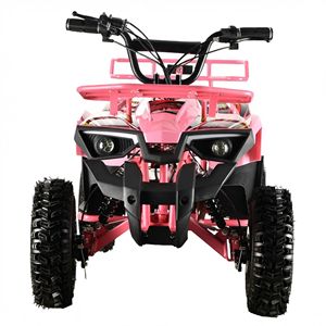 <span class=keywords><strong>Quad</strong></span> électrique pour enfants de haute qualité <span class=keywords><strong>48V</strong></span> 800W avec moteur à balais, transmission automatique, freins à double disque, best-seller - Product Image 2
