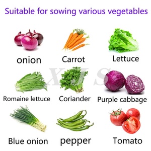 Semoir multi-rangs électrique/à essence pour travaux agricoles, machine à semer les légumes avec espacement de 5/10 cm pour carottes et <span class=keywords><strong>choux</strong></span>-violets - Product Image 2