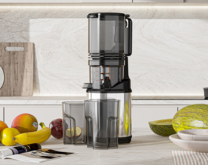 <span class=keywords><strong>Extracteur</strong></span> <span class=keywords><strong>de</strong></span> <span class=keywords><strong>jus</strong></span> puissant 250W à large ouverture en acier inoxydable pour légumes et fruits - Product Image 5