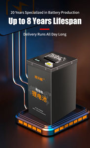 Hochleistungs-Lithium-Batterie mit Langer Ausdauer für 2-Rad-Elektrofahrzeuge 48V 60V 2-Rad-Lithium-Batterie mit BMS für E-Bike und E-Scooter - Product Image 6