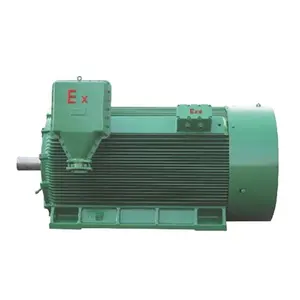 YB2 high-voltage flame-proof asynchronous 600HP motor electric