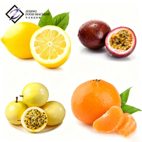 Continue fruitpulp-extractiemachine van roestvrij staal met dubbele roller en hoge opbrengst voor pulpfabrieken