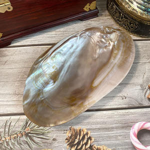 Assiette verte nacre artisanale moule de mer biodégradable conque coquille plat Photo bijoux assiettes décoratives - Product Image 5