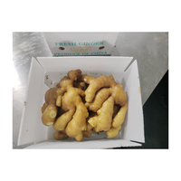 Chine Gingembre frais de haute qualité Meilleur prix Gingembre frais lavé Grande taille Gingembre lavé emballé dans un sac en filet