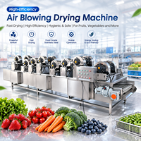 Machine de séchage automatique à air pour fruits, légumes et transformation alimentaire, équipement de séchage par soufflage en acier inoxydable, système d'élimination de l'eau