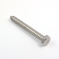 WXSNY Stainless Steel 304 316 Hex Head Lag Bolt Heavy Duty Hexagon Wood Screw Fasteners for Outdoor Decking Fixing