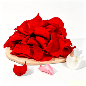 Paquete <span class=keywords><strong>de</strong></span> 1000 <span class=keywords><strong>Flores</strong></span> Preservadas <span class=keywords><strong>para</strong></span> Decoración del Hogar, Banquetes <span class=keywords><strong>de</strong></span> Boda y Fondo <span class=keywords><strong>de</strong></span> Fotografía, Día <span class=keywords><strong>de</strong></span> San Valentín y Decoración con Plantas <span class=keywords><strong>de</strong></span> <span class=keywords><strong>Flores</strong></span> Secas - Product Image 1