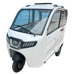 Fully Enclosed Trike Adult 3Wheel Electric Tricycle For Adult