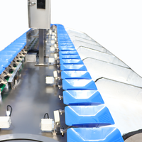 Kehong KHLH-6J Fruit- en groentesorteer-, -gradeer- en -verpakkingsmachine met PLC-sensor, op maat gemaakt, 3-18 sorteerstanden, 160-280 stuks/min, eenvoudig te bedienen