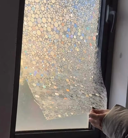 Coquillage à sept couleurs