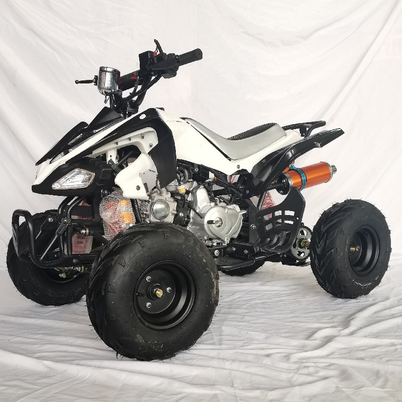 Gasoline Power Dirt Bike ATV Snow Plow Quad 4 Wheeler For Adults