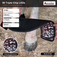 Bottes de thérapie infrarouge protégées par plus de 120 brevets, 80 LED à triple puce pour le bien-être et le confort corporel des chevaux