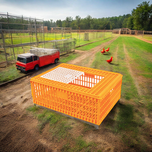 Attrezzatura per pollame cassa allevamento di polli Pour Levage De Poulet Caisse Pour Volaille trasporto gabbia di pollo - Product Image 1