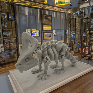 Modèle de squelette de dinosaure cornu imprimé en 3D, nouveauté, support de présentation de bureau, ornement décoratif, cadeau pour enfants, vente chaude - Product Image 2