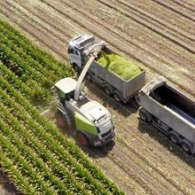 Sac de stockage d'ensilage hermétique en PEHD Longxing, étanche, 200 tonnes, 2,4m x 50m, résistant aux UV, pour blé, riz et céréales - Vente en gros - Product Image 3