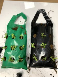 <span class=keywords><strong>Sac</strong></span> de culture vertical en PE écologique, multi-poches, pour fraises, herbes et légumes, idéal pour jardin et <span class=keywords><strong>balcon</strong></span> - Product Image 2