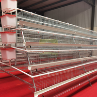 Nouvelle cage à poulets en acier galvanisé à chaud de type A à 4 portes et 4 niveaux, avec collecte automatique des œufs, haute résistance à la corrosion, CE