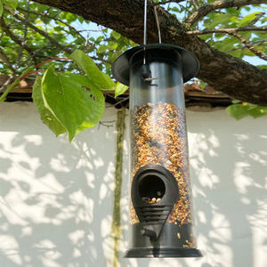 Mangiatoie per uccelli selvatici appese all'esterno decorazione da giardino a prova di scoiattolo mangiatoie per uccelli da giardino mangiatoie per uccelli in plastica