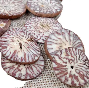 Wholesale New 100% pure raw slices Areca catechu seeds