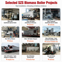 Chaudière de gazéification de biomasse à combustible de balles de riz et de paille pour usine de transformation alimentaire – Approvisionnement direct fabricant