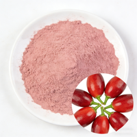 Poudre de Fruit Miracle de Qualité Alimentaire Fournie par l'Usine - Poudre de Synsepalum Dulcificum (Fruit Mystérieux) - Poudre de Fruit Miracle 98% - MOQ 1kg