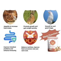 Additifs alimentaires pour lapins, booster de croissance, promoteur de croissance rapide, vitamines, prise de poids, nourriture pour lapins pour une croissance rapide