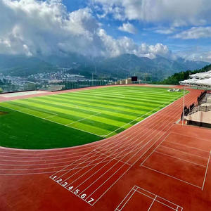 Piste de course extérieure de <span class=keywords><strong>couleur</strong></span> rouge de 25mm sol de sport en <span class=keywords><strong>gazon</strong></span> artificiel <span class=keywords><strong>gazon</strong></span> <span class=keywords><strong>synthétique</strong></span>/piste de terrain de football - Product Image 6