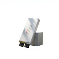 Batterie LiPo polymère au lithium LongKun 3,5 V 36 Ah 36000 mAh à haute densité énergétique pour drone UAV, robot, OEM/ODM